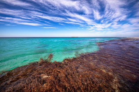 Discovery Resorts - Rottnest Island - Stays Accommodation 24