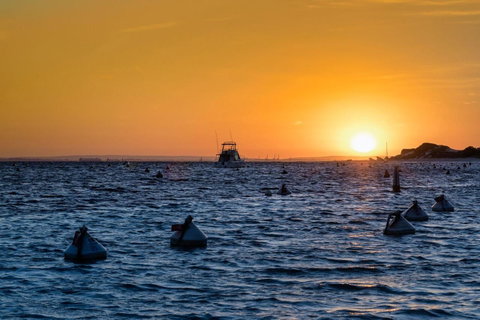 Discovery Resorts - Rottnest Island - Stays Accommodation 27