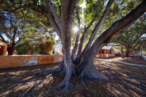 Discovery Resorts - Rottnest Island - Stays Accommodation 23