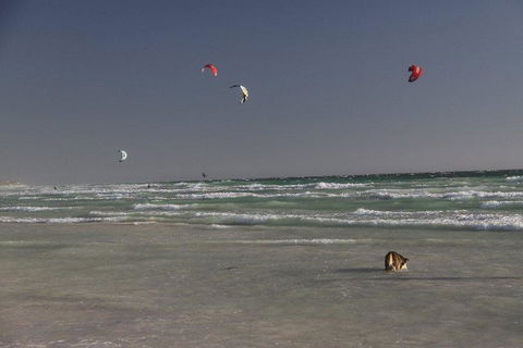 Dongara Tourist Park - Stayed 33