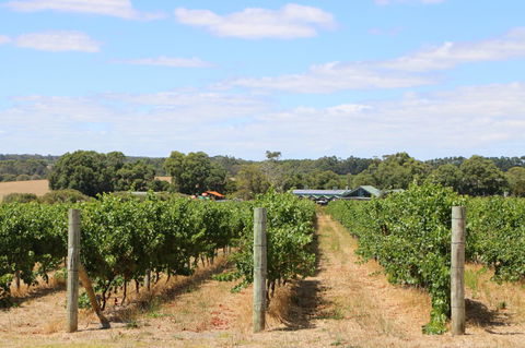 Burton Farmhouse - Stayed 11