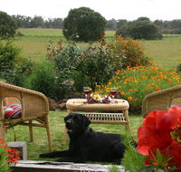 Silversprings cottages - Stayed