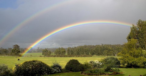 SilverSprings Spa Retreat Pet Friendly Cottages And Glampings - Stayed 19