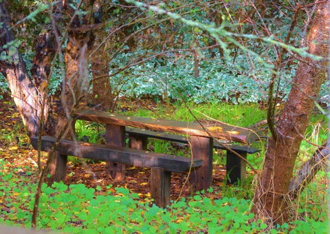 Black Cockatoo Lodge - Stayed 44