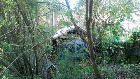 Black Cockatoo Lodge - Stayed 22