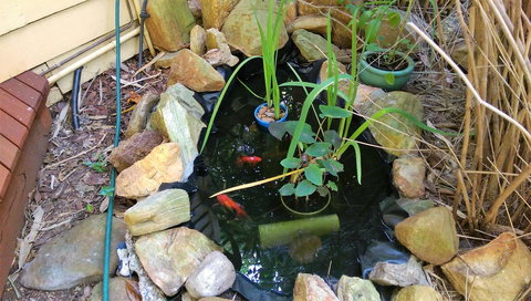 Black Cockatoo Lodge - Stayed 29