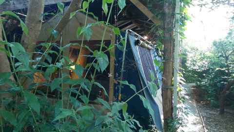 Black Cockatoo Lodge - Stayed 13