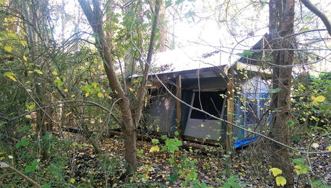 Black Cockatoo Lodge - Stayed 11