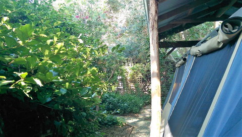 Black Cockatoo Lodge - Stayed 12