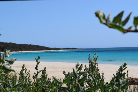 Eagle Bay House - Stayed 13