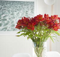 On The Beach Waterfront Apartment - Stayed