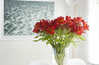 Book Kingston Beach Accommodation Vacations Stayed Stayed