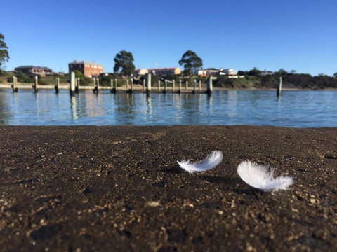 Swansea Holiday Park Tasmania - Stayed 39