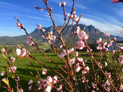 Manna Hill Farm - Stayed 3