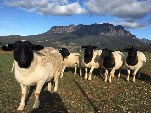 Manna Hill Farm - Stayed 28