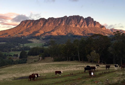 Manna Hill Farm - Stayed 10