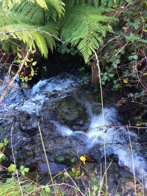 Manna Hill Farm - Stayed 26