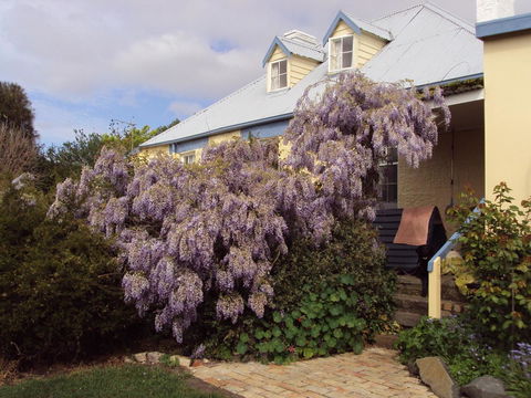 Orford's Sanda House B&B - Stayed 40