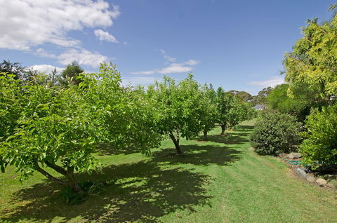 Orford's Sanda House B&B - Stayed 37