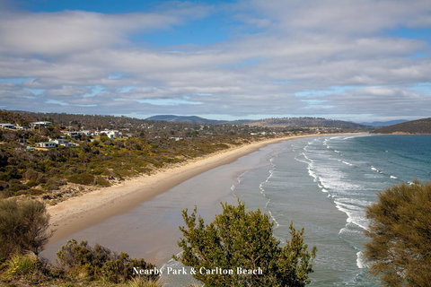 The Sandy Sister - Stayed 37