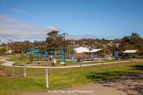 The Sandy Sister - Stayed 36