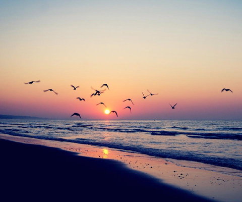 Kingston Beach-House Retreat - Stayed 18