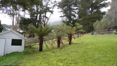 Maydena Chalet - Stayed 44
