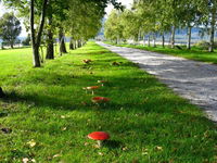 Plovers Ridge Country Retreat