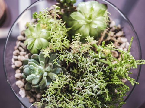 Russell House - Stayed 7