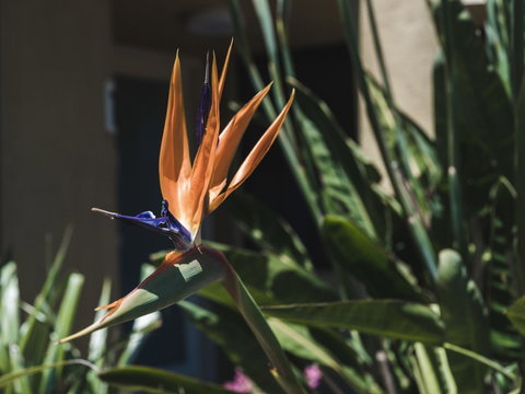 Russell House - Stayed 2