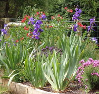 Karoola Cottage Self Contained - Stayed