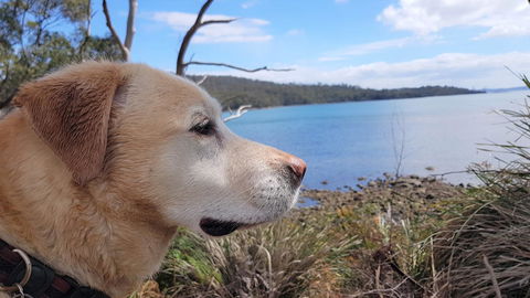 Four Seasons Waterfront Villas - Stayed 35