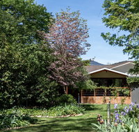 Nest House Bright