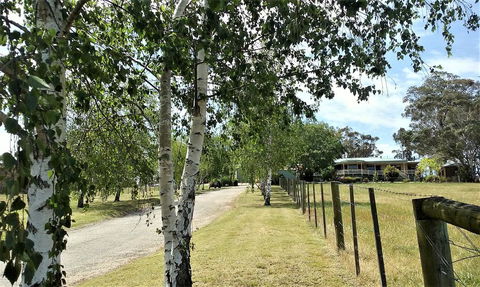 Nicholson BnB And Arts Centre - Stayed 0
