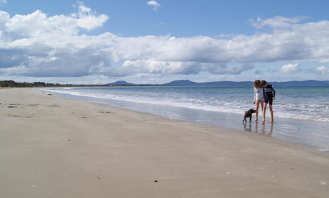 Nine Mile Escape - Stayed 2