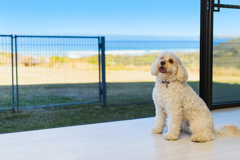 Ocean Paradise - Stays Accommodation 2