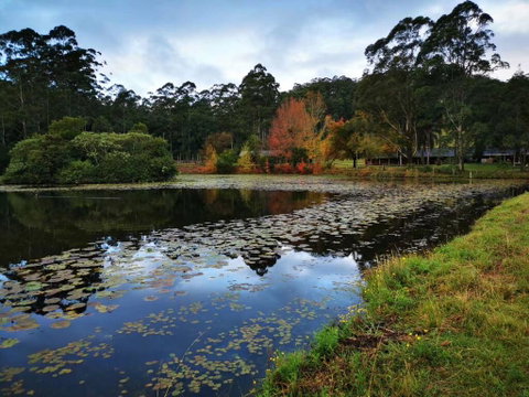 OCT Forest Lodge - Stayed 2