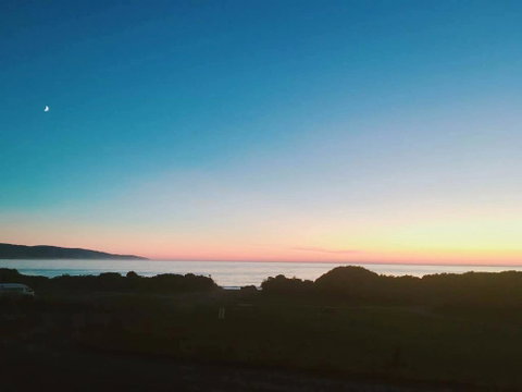 ODYSSEY APOLLO BAY - Stayed 1