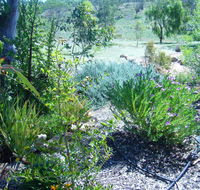 Old Miners' Cottages Bed and Breakfast - Stayed