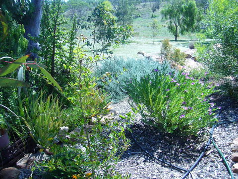 Old Miners' Cottages Bed And Breakfast - Stayed 0