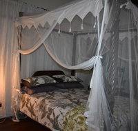 Oskar's Rain Forest Retreat - Stays Accommodation