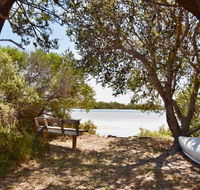 Oystercatcher - On the banks of the lagoon - Stayed