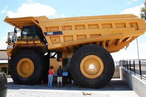 Paddys Golden Patch - Stayed 0