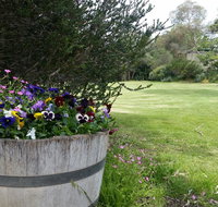 Padthaway Caravan Park - Stayed