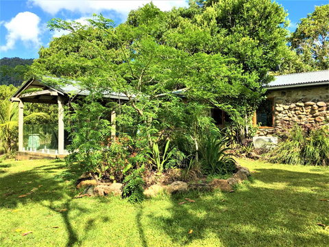 Palm Grove Rainforest Retreat - Stays Accommodation 2