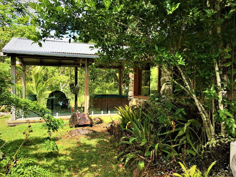 Palm Grove Rainforest Retreat - Stays Accommodation 3