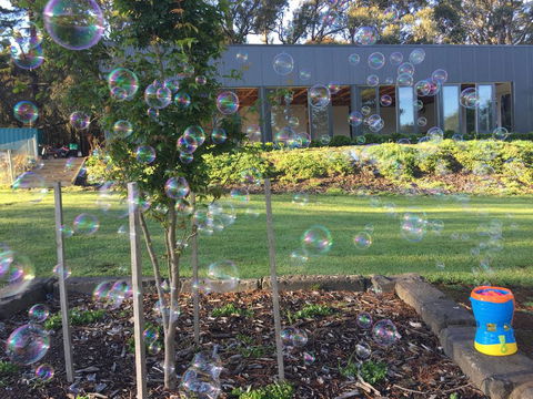 Paradiso Kinglake - Stays Accommodation 1