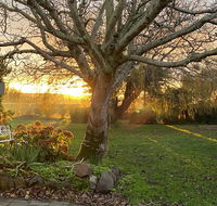 Peg Cottage - Stayed