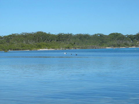 Pet Friendly - Exceptional Beachside Location - Stays Accommodation 3