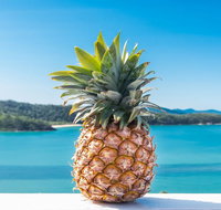 Pineapple House Whitsundays